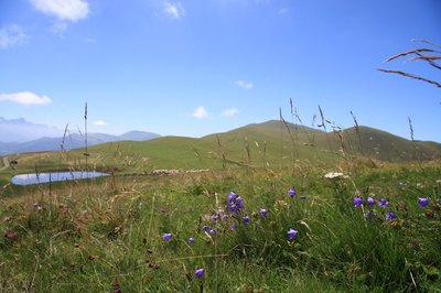 Paysage d'&eacute;t&eacute;