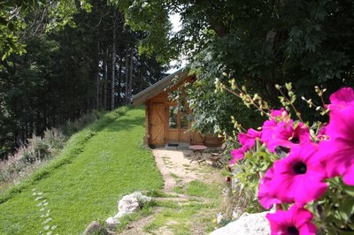 Vue chalet en &eacute;t&eacute;